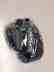 204373 Strap Number Pedal Nordictrack Part