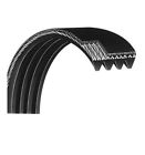 217585 Icon Health Fitness Nordictrack
