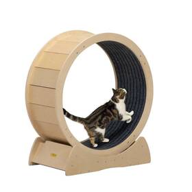 Cw12s0498 Coziwow Cat Treadmill Exercise Wheel Mute Pulley