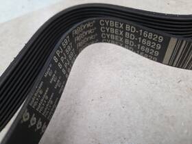 Bd-16829 Cybex 510-410t 300t Cxt New Drive Belt