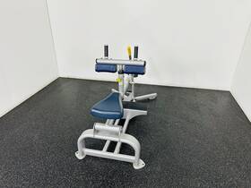 Re25 Cybex Seated Plated Loaded Calf Machine