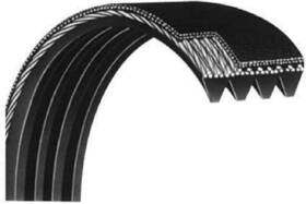 N010001 Spirit Fitness Sole Xterra Treadmill Motor Drive Belt 240j 8 Ribs