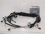 Horizon AMI1565000000 Fuel Cell Electrical Control Unit (ecu) W/ Wiring Harness. Fixed Price $159.99.