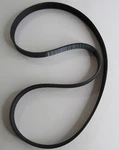Hutchinson Flexonic 8PJ Cross Trainer Poly Drive Belt 8-RIB 47.5" 1206MM. Fixed Price $18.75.