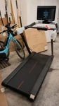 Peloton Treadmill New Open Box Smart Touchscreen Running Machine Home Gym. Fixed Price $2500.00.