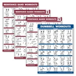 Palace Learning Pack - Resistance Bands Workout 18" X 24", Laminated. Fixed Price $14.72.