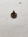 Precor Elliptical Front Leveling Foot Leveler. Fixed Price $15.00.
