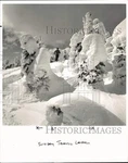 1977 Press Photo Skier On Big White Mountain, British Columbia - PIS21608. Fixed Price $24.99.