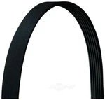 Serpentine Belt Dayco 5070687DR. Fixed Price $30.91.