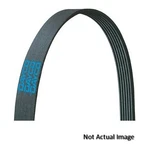 Dayco 5070683DR Ribbed, Drive Rite Traditional. Fixed Price $34.57.
