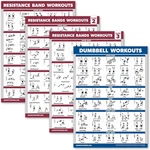 Palace Learning 4 Pack - Resistance Bands Workout Posters Volume 1, 2 & 3 + Dumb. Fixed Price $15.99.