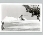 Skier Fresh Powder Slope Snowy Park City Utah Recreation 1980S Press Photo. Fixed Price $35.00.