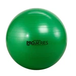 Theraband - 23035 Exercise Ball, Professional Series Stability With 65 Cm. Fixed Price $42.76.