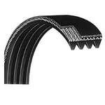 Horizon Merit Tempo Fitness Gear Triumph Treadmill Motor Drive Belt 1000107269. Fixed Price $64.99.
