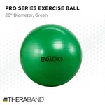 Theraband - 23035 Exercise Ball, Professional Series Stability With 65 Cm. Fixed Price $14.99.