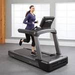 Life Fitness Integrity Series Treadmill - Intsc Console Display. Fixed Price $3000.00.