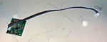 Nordictrack Commercial 1750 Receiver Board With 4 Pin Cable Treadmill. Fixed Price $34.99.