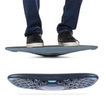 Fluidstance Adult Balance Board For Standing Desk - Anti Fatigue Us... Fast Ship. Fixed Price $237.99.