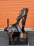 Nordictrack RW900 Rowing Machine. Fixed Price $399.90.