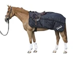 Back On Track Therapeutic Fleece Exercise Sheet. Fixed Price $139.00.