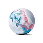 Fitzelar Massage Lacrosse Balls For Myofascial Release, Quality Pink Mix Blue. Fixed Price $12.73.