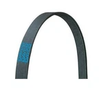 Dayco Drive Rite 5070683DR Serpentine Belt. Fixed Price $42.51.