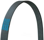 Serpentine Belt Dayco 5040362. Fixed Price $28.84.