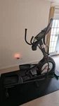Schwinn 430 Journey 4.0 Elliptical. Fixed Price $600.00.