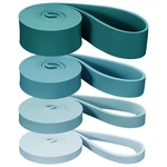 Lift Resistance Bands Set For Working Out - 4 Exercise Undertow. Fixed Price $56.99.