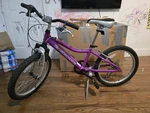 20 Inch Diamondback Octane Mountain Bike. Fixed Price $150.00.