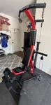 Bowflex PR3000 Home Gym. Fixed Price $450.00.