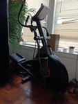 Afg 3.1AE Elliptical. Fixed Price $100.00.