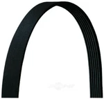 Serpentine Belt Dayco 5040362DR. Fixed Price $20.76.